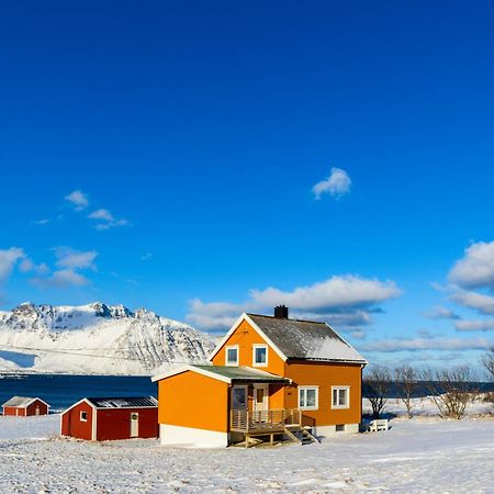 Lillevik Lofoten Gimsoy Zewnętrze zdjęcie