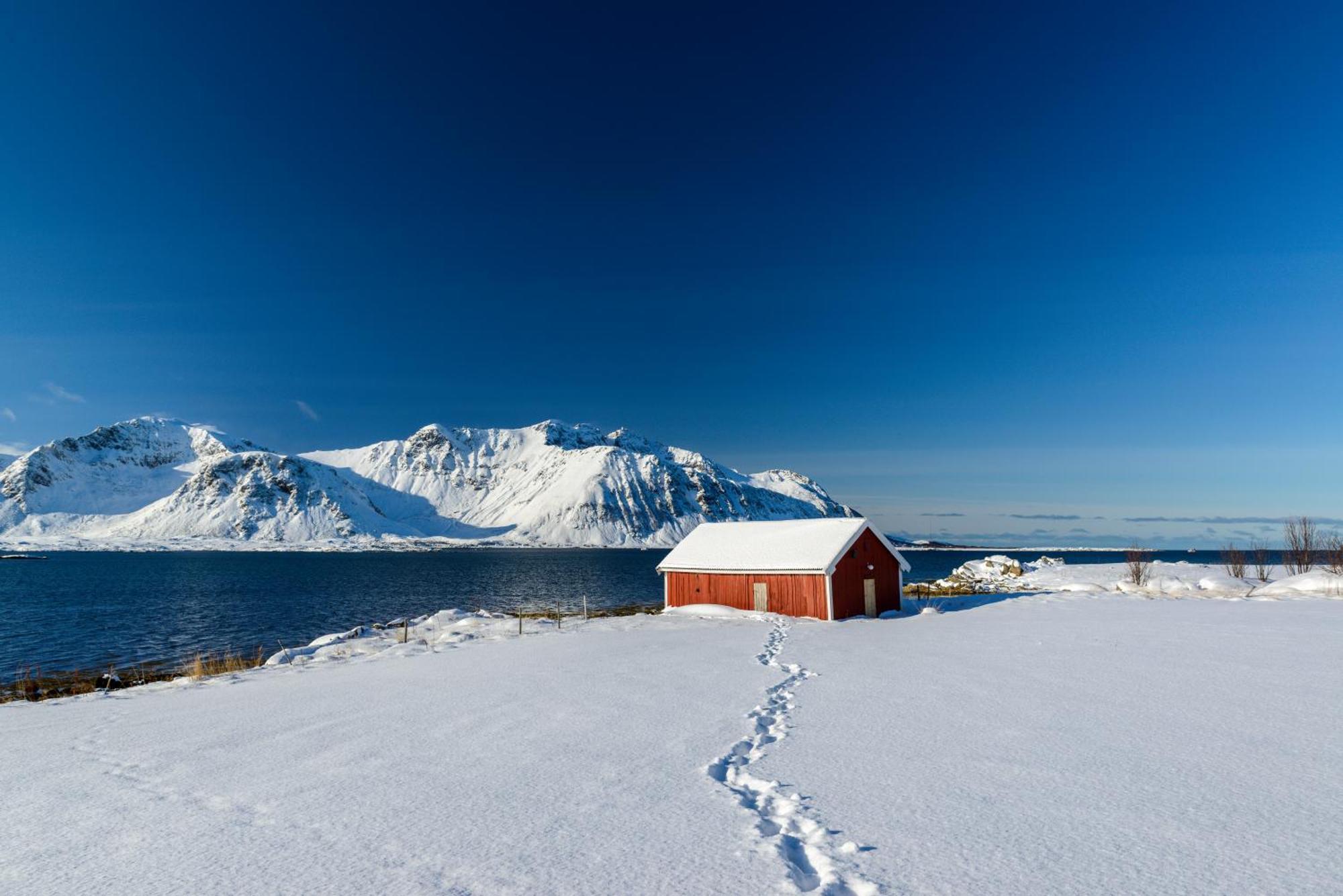 Lillevik Lofoten Gimsoy Zewnętrze zdjęcie